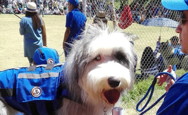 Foto de Centro Regional de Adiestramiento Canino