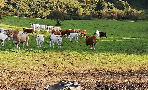 foto Azienda Agricola Boccea