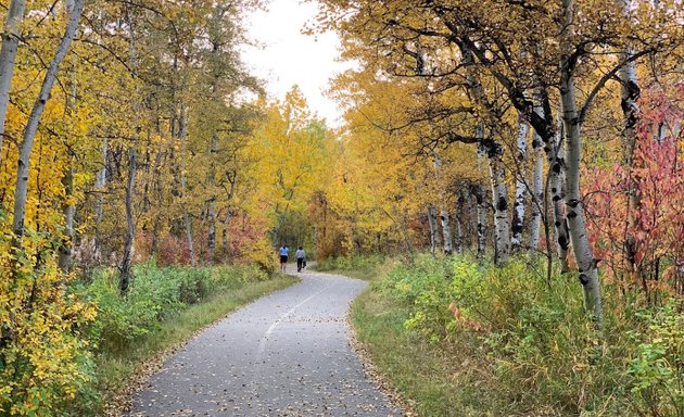 Photo of Strathcona Ravine