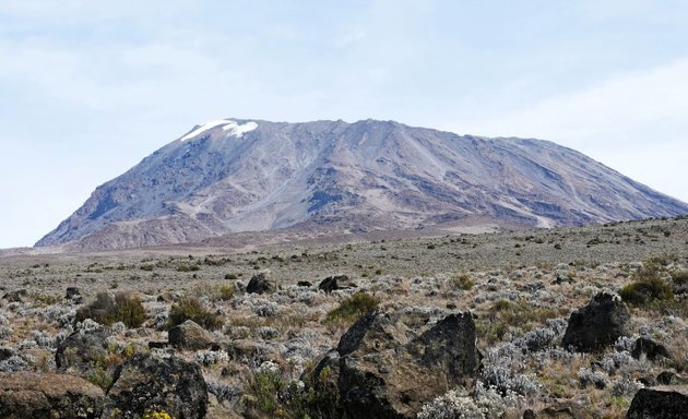 Foto von Kilimanjaro Aktiv GmbH