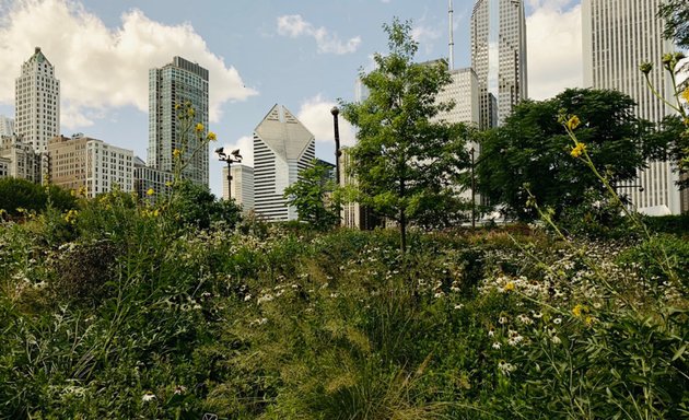 Photo of Lurie Garden