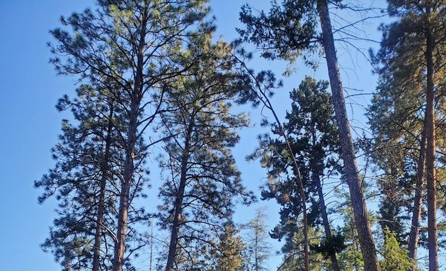 Photo of Gopher Creek Linear Park