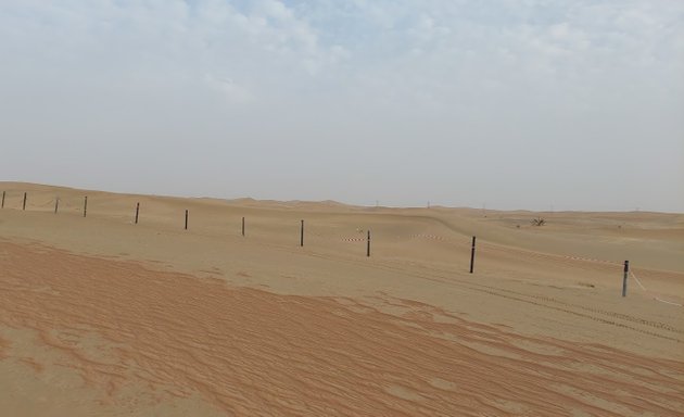Photo of Al Mahr Tour, Desert Safari