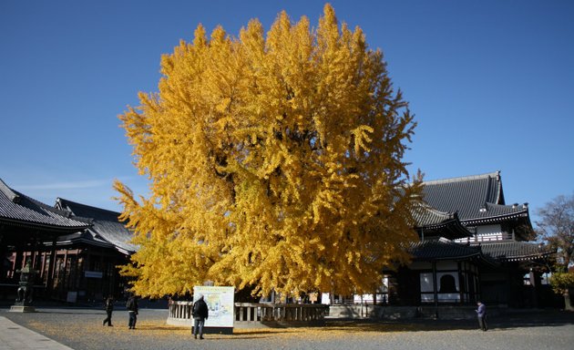 Photo of Jim's Japan