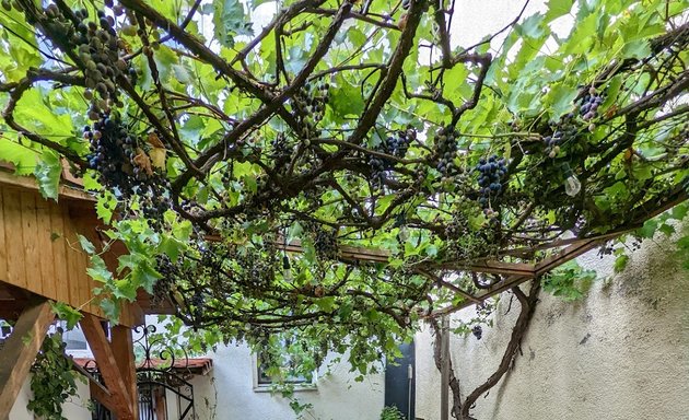 Foto von Levinsky - Israelisches Restaurant, Mezze Bar & Garden