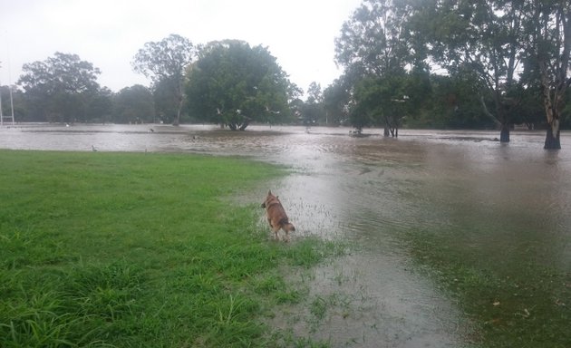 Photo of Shaw Park