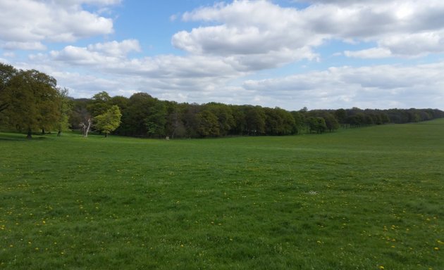 Photo of Obelisk Park