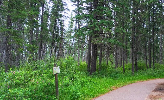 Photo of Griffith Woods Park