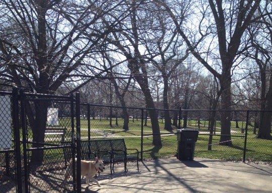 Photo of River Park Dog Friendly Area