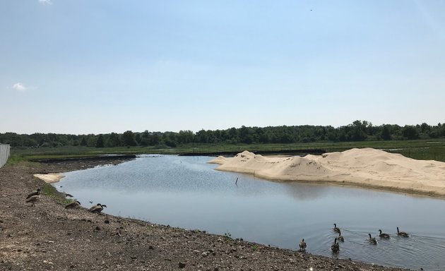 Photo of Saw Mill Creek Marsh