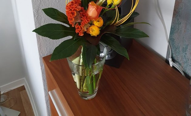 Foto von Gänseblümchen Floraldesign UG