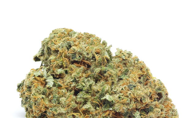 Photo of Order Weed Online Now | Canada