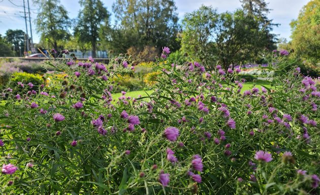 Photo of Byron Linear Tramway Park