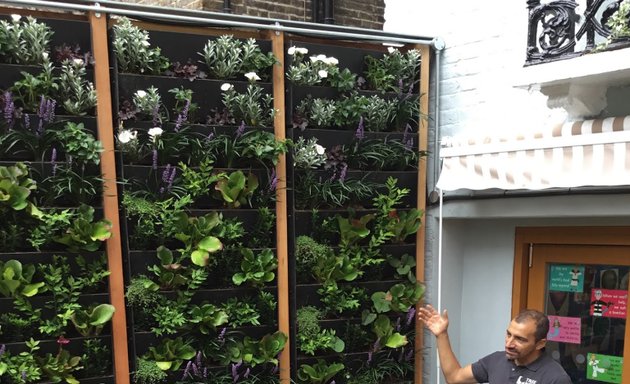 Photo of Treebox - Living Walls & Urban Greening Solutions