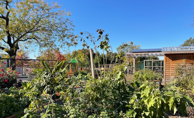 Photo of Aberdeen Street Community Garden