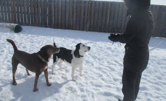 Photo of Tails & Trails Country Pet Resort Stonecrest