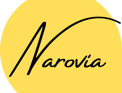 Photo of Narovia - Agence Web