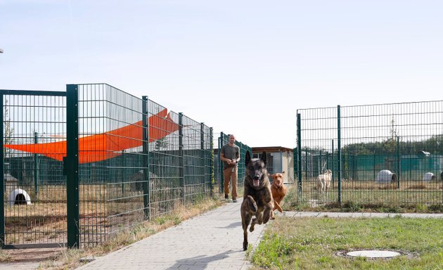 Foto von Hundezentrum Flughafen Frankfurt