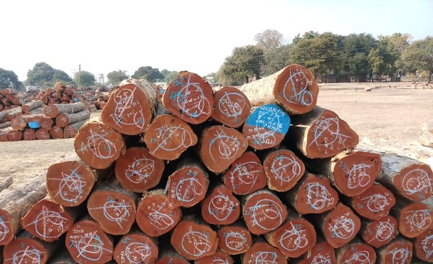 Photo of Myanmar Timber co.