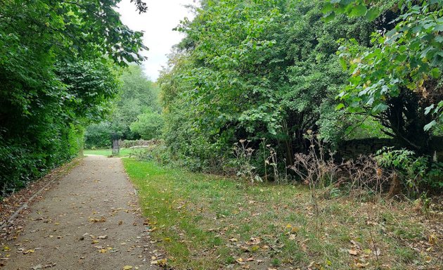 Photo of Churwell Urban Woodlands - Japa Woods