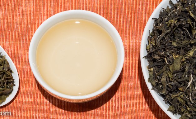 Photo of Curious Tea Ltd