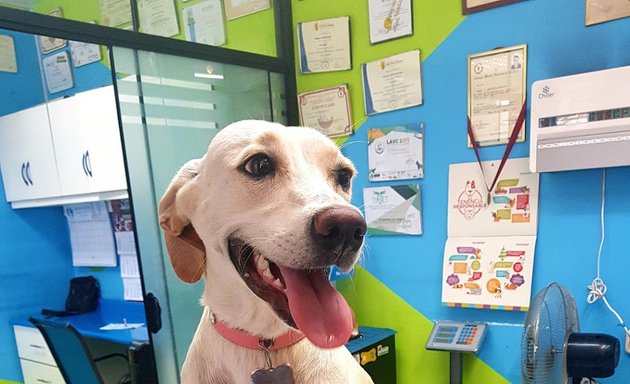 Foto de Clínica VETERINARIA Amistad