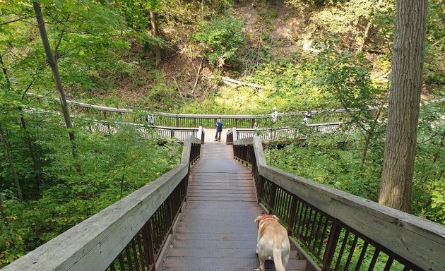 Photo of Glen Stewart Park