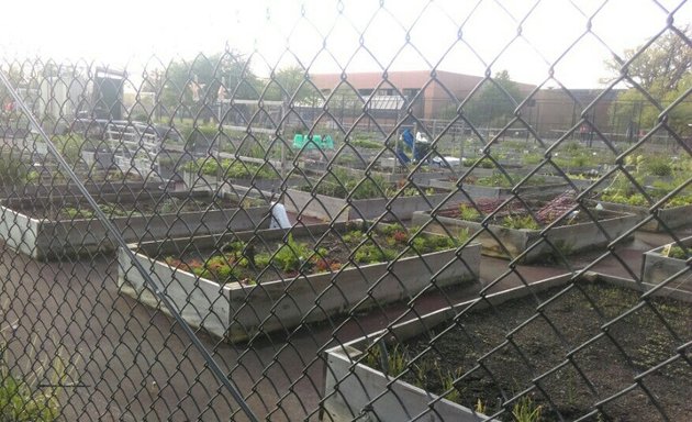 Photo of NEIU Ground (Peterson Garden Project)