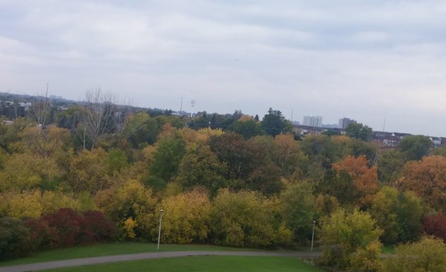 Photo of Chalkfarm Park