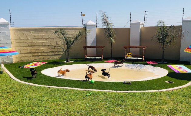 Photo of Viennas Village luxury accommodation and daycare for small dogs