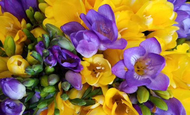 Photo of Eden Hill Flower Shop