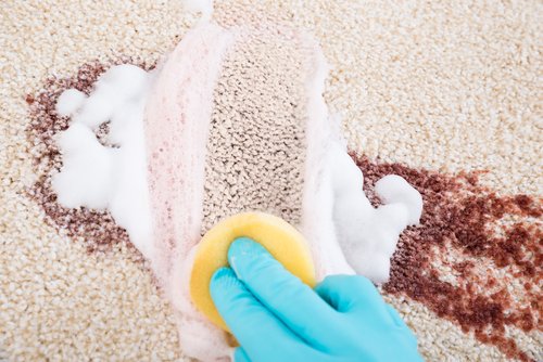 Photo of Clyde Carpet Cleaning