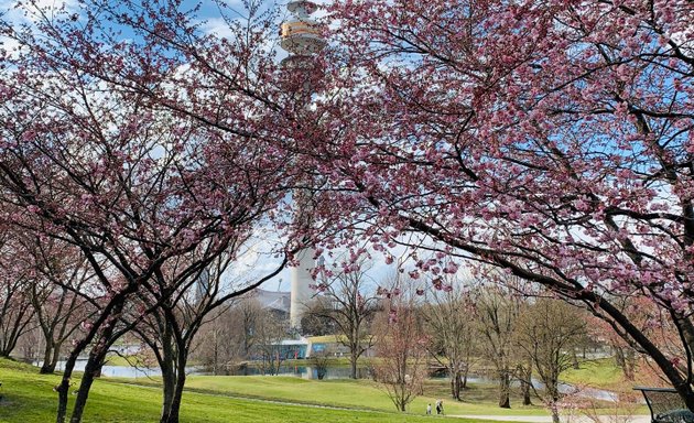 Foto von Spielplatz Olympiapark Süd