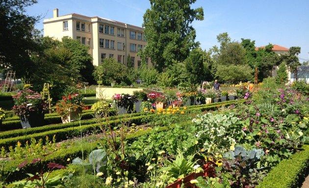 Photo de Jardin Dominique Alexandre Godron