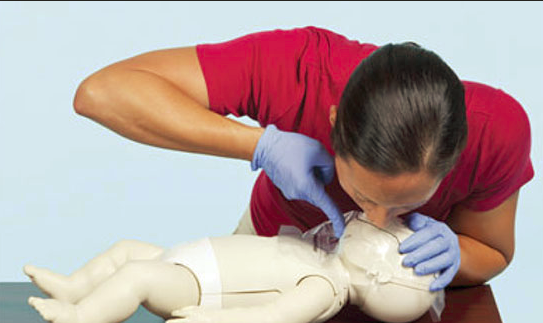 Photo of Basic Plus First Aid Training