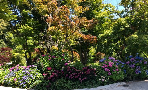 Photo of Christchurch Botanic Gardens Tour