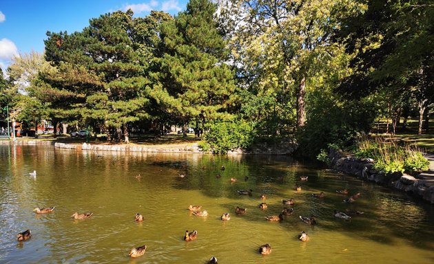 Photo of Pond