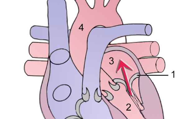 Photo of York Cardiology