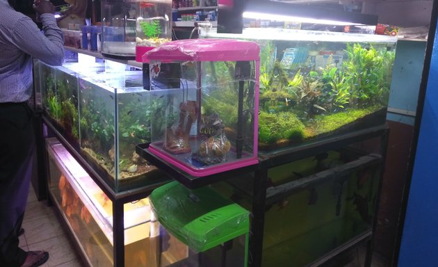 Photo of Gold Land Aquarium