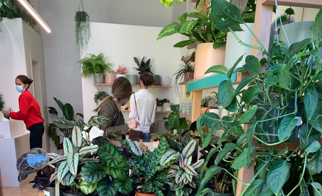 Photo of Plants and Friends