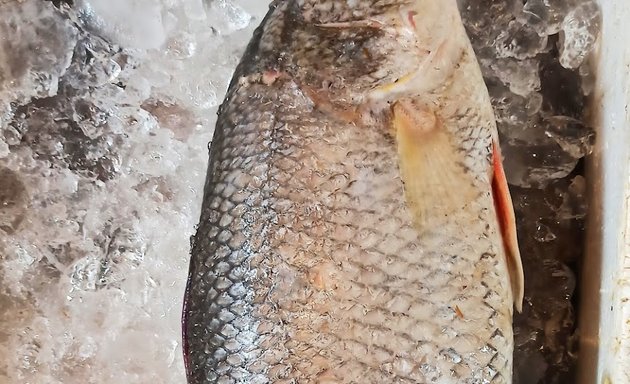 Photo of Juned Fresh Fish