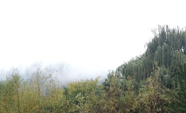 Photo of Brandts Creek Linear Park