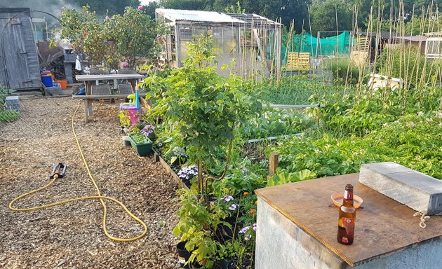 Photo of West Hendon Allotment Society