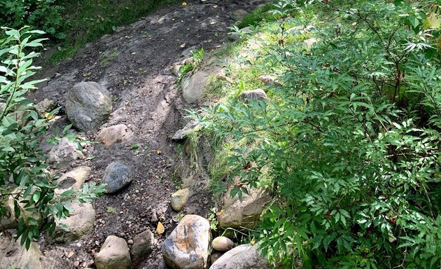 Photo of Whitemud Creek Ravine