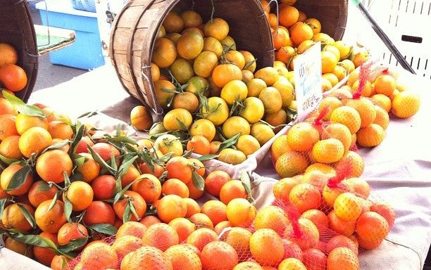 Photo of Pacific Palisades Farmers Market