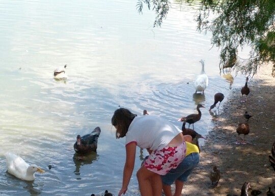 Photo of Heritage Duck Pond Park