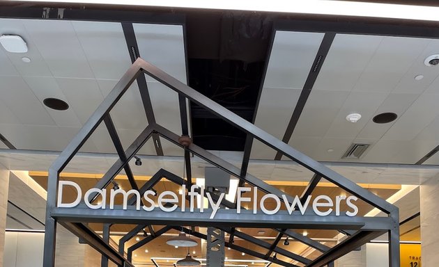 Photo of Damselfly Flowers