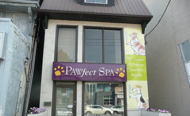 Photo of Pawfect Spa Ltd | Toronto Dog Grooming Services