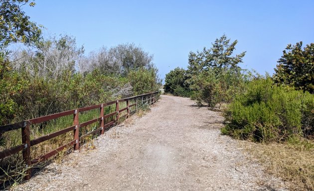 Photo of Ballona Freshwater Marsh