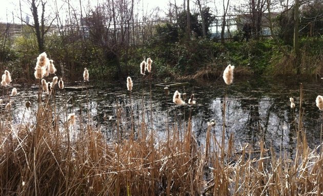 Photo of Camley Street Natural Park